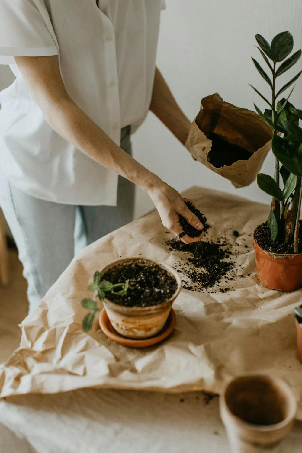Planting Image 2